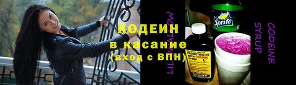 прущие крисы Абаза