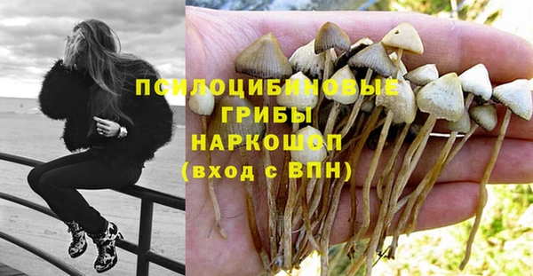 МДПВ Абинск