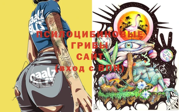 бошки Губаха