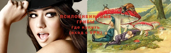 прущие крисы Абаза