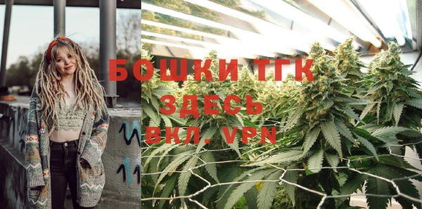 прущие крисы Абаза