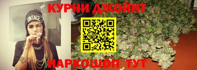 сатива Дмитров