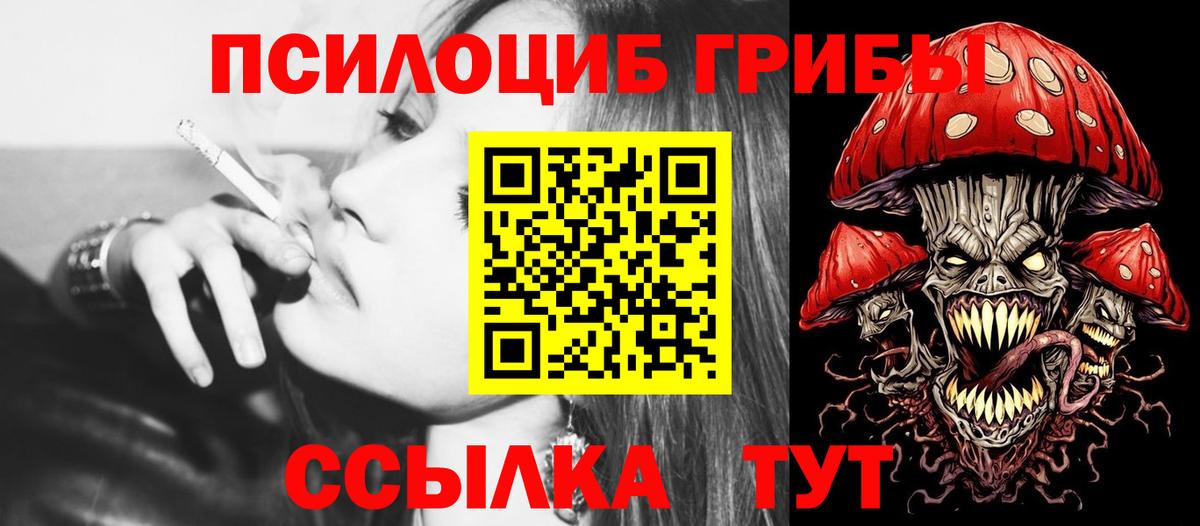 Псилоцибиновые грибы мицелий  Галлюциногенные грибы Psilocybine cubensis  Мегион  Вход с VPN 